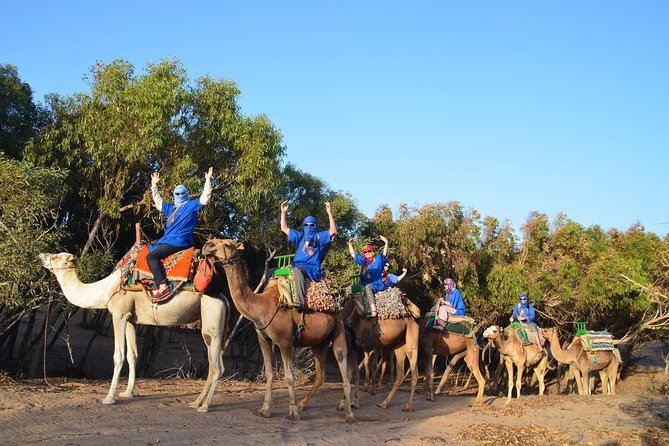 2-Hour Walks to Discover Essaouira