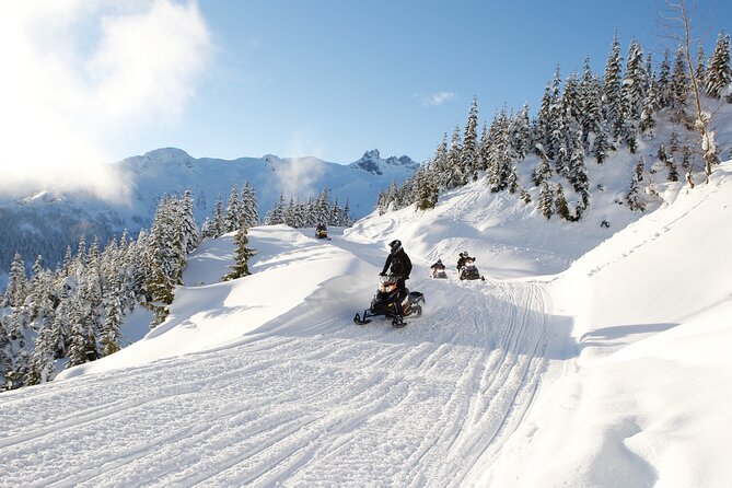2 Hour Wilderness Adventure Snowmobile Tour