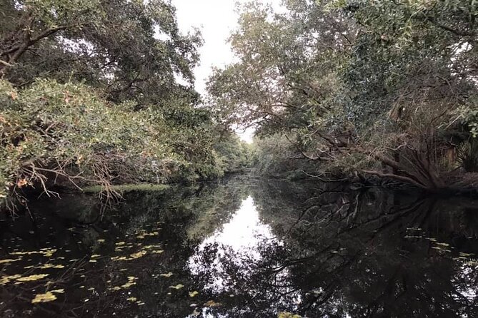 2 Hours Boat Tour in Louisiana Bayous Near New Orleans - Good To Know