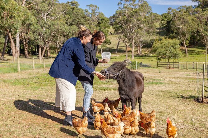 2 Hours Farming Activity in Mornington-Flinders With Lunch