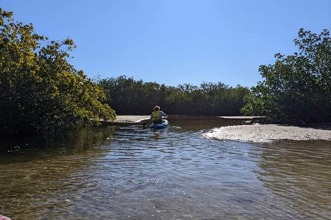 2 Hours Kayak Eco Tour in Tarpon Springs - Good To Know