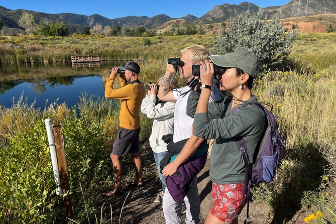 2 Hours of Mindful Bird Watching Near Denver - Good To Know