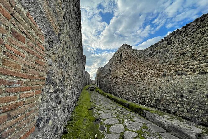 2 Hours Private Tour of Pompeii for Journey Through Time