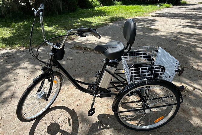 2-hr. Kissimmee Lakefront Tour on a DELUXE Fully Electric Trike - Good To Know