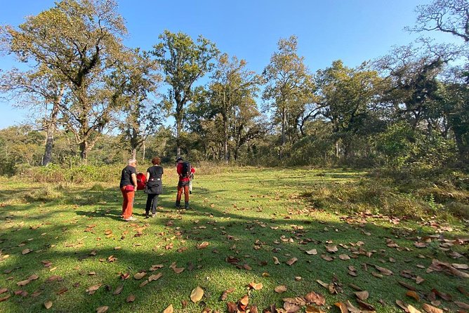 2 Nights 3 Days Chitwan Wildlife Jungle Safari Package Tour - Good To Know