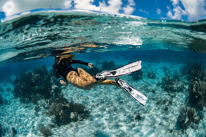 24h Snorkel Rental Equipment, Discover Tenerife on Your Own! - Good To Know