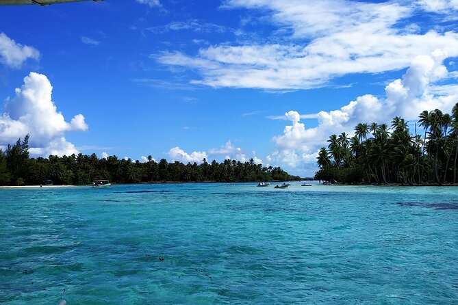 1/2 Day Tahaa Coral Garden - Departure Raiatea / Ideal for Cruise Passengers - Guide and Safety
