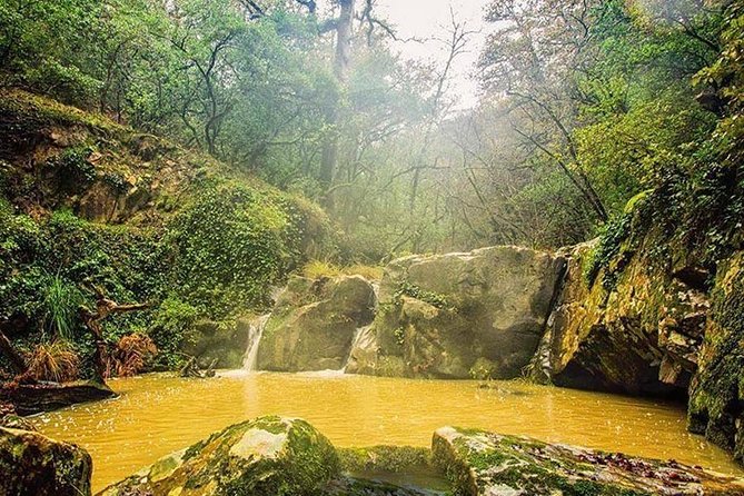1 Day Excursion Nature and Archeology Bulla Regia and Beni Mtir From Tunis - Highlights of Bulla Regia