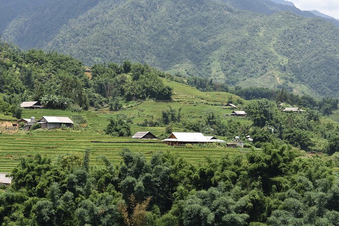 1-Day Private Trekking in Sapa Through Terraces Rice Fields - Reviews and Ratings