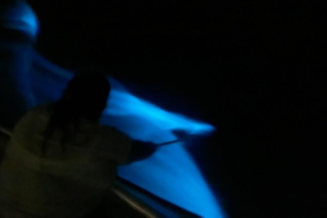 1-Hour Bioluminescent Boat Tour in Mosquito Bay, Vieques - Comparison to Kayak Tours