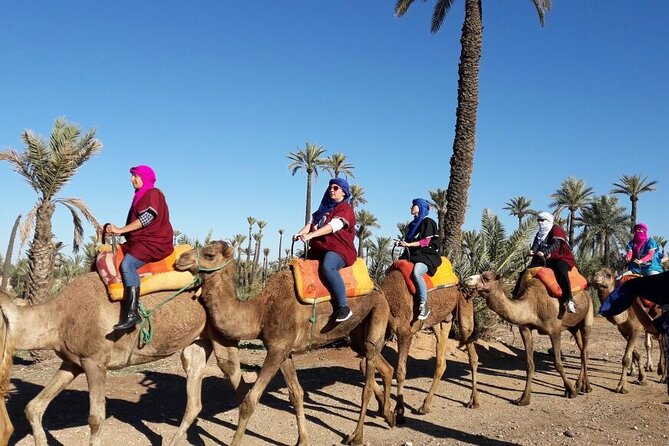1-Hour Camel Ride and 1-Hour Quad Bike Ride in Marrakech. - Traveler Photos and Reviews