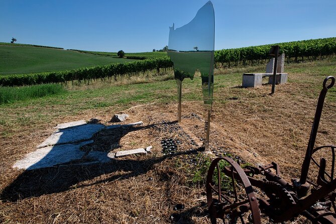 1-Hour Experience With Brunello. Visit to the Vineyard and Cellar - Meeting and Pickup