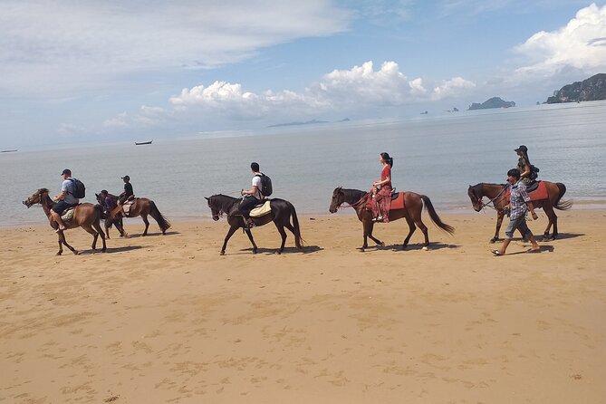 1 Hour Horse Riding Tour On The Beach Krabi - Tour Requirements