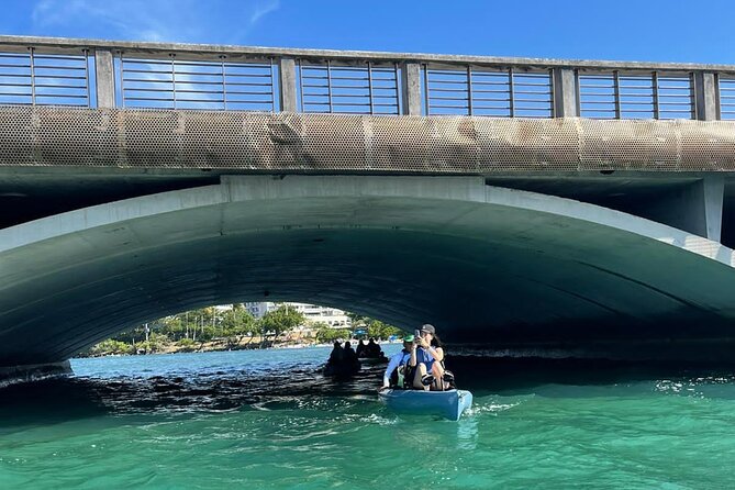 1-Hour Pedal Kayak Guided Adventure Tour in Condado Lagoon - Inclusions and Experience