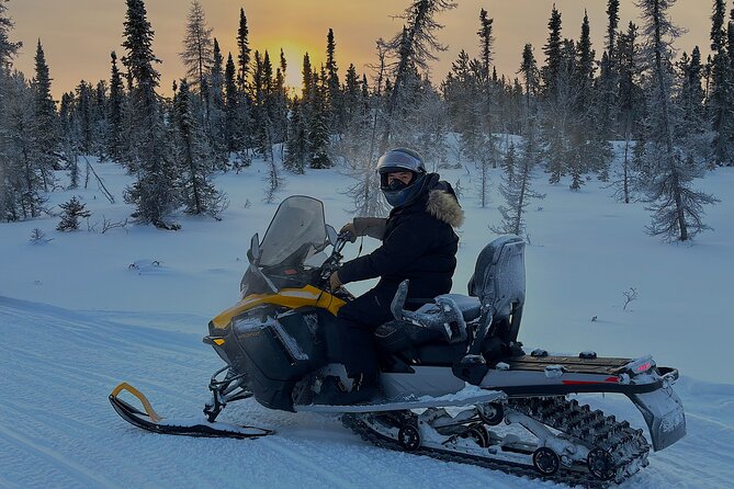 1 Hour Private Snowmobile Adventure in Yellowknife - What to Expect