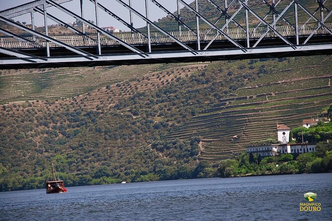 1-Hour Rabelo Boat Trip in Pinhão - Audio Guide App