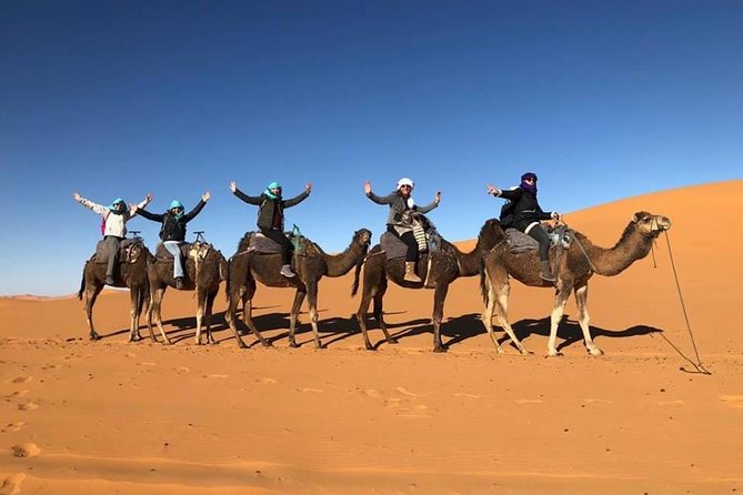1 Night Camel Trekking Tour in Merzouga Desert Camp - Traveler Experiences