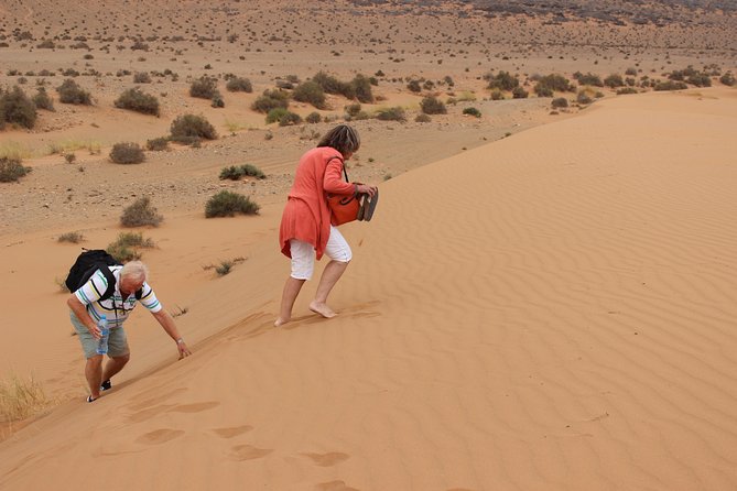 1 Night in Desert From Agadir - Reviews and Overall Rating