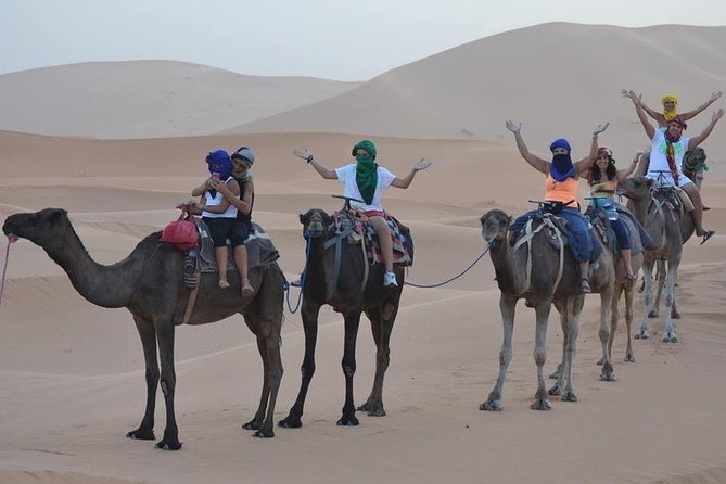 1 Night in Desert Merzouga With Camel Trek - Erg-Chebbi, Morocco - Date and Traveler Information