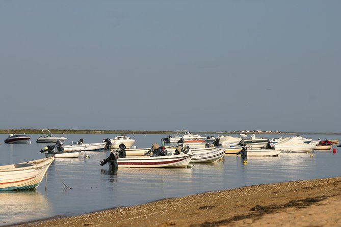1 or 2 Hour Speed Boat Tour - Ria Formosa - Reviews and Questions