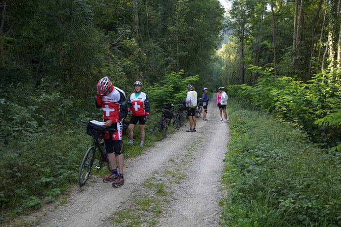 11-Day Private Lite Tour Across Switzerland by Bike From Geneve - Itinerary Highlights