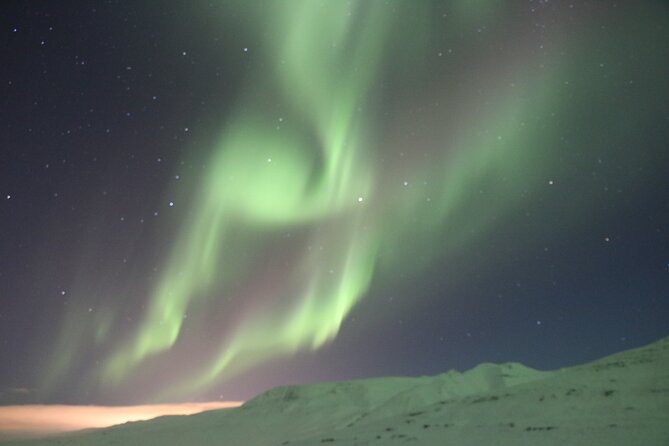 2-3 Hours Tour - Hunting Northern Light From Akureyri - Meeting Point and Departure Time