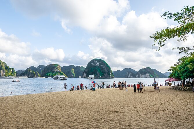 2 Day 1 Night Halong & Lan Ha Bay Luxury Rosy Cruise From Ha Long - Meals and Dietary Requirements