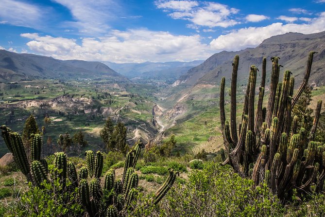 2 Day - Colca Canyon and Condor Tour From Arequipa, Peru - Group Service - Cancellation Policy