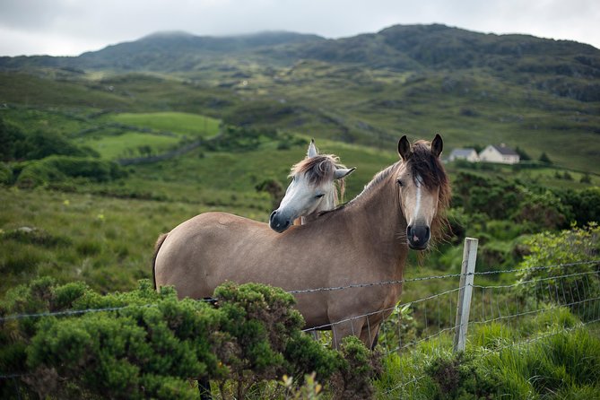 2-Day Connemara and Galway Bay Rail Tour From Dublin - Inclusions