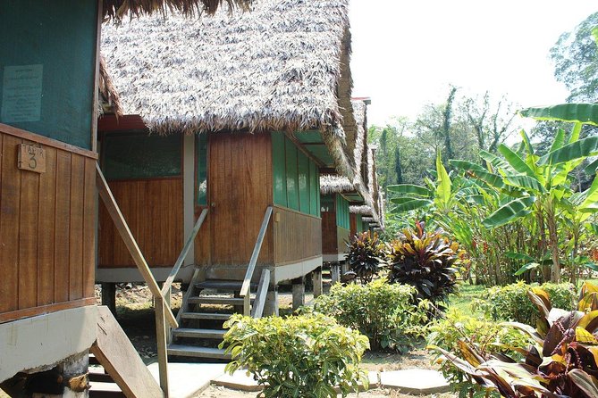 2-Day Peruvian Tambopata Jungle Small Group Experience  - Puerto Maldonado - Reviews and Recommendations for Nature Lovers