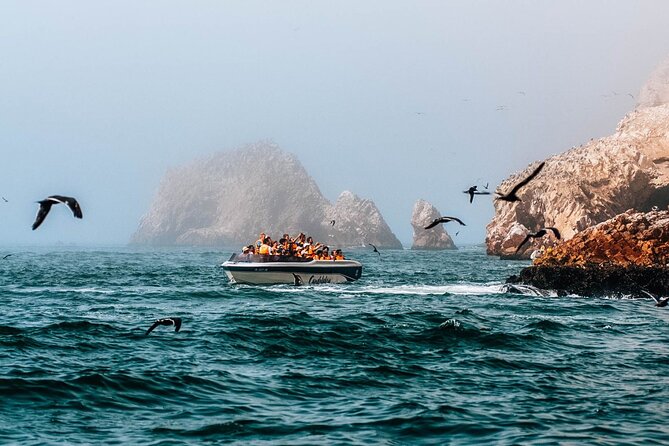 2 Day Tour From Lima: Paracas, Ballestas Island and Huacachina - Guided Tour of Paracas National Reserve