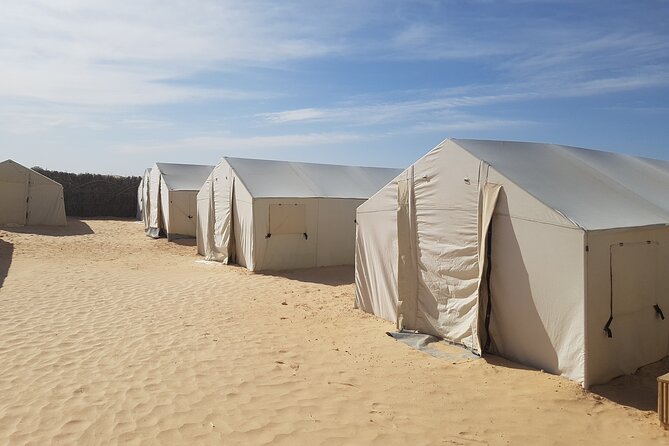 2-Day Tunisia Sahara Desert Camel Trek From Douz - Questions and Assistance