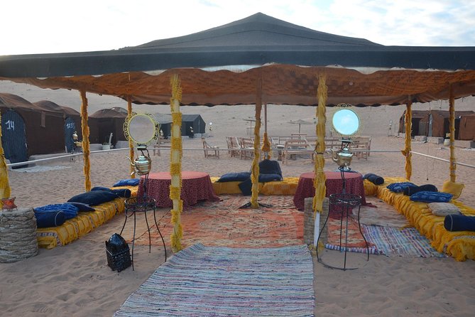 2-Day Zagora Desert Tour From Marrakech - Driver/Guide Experience
