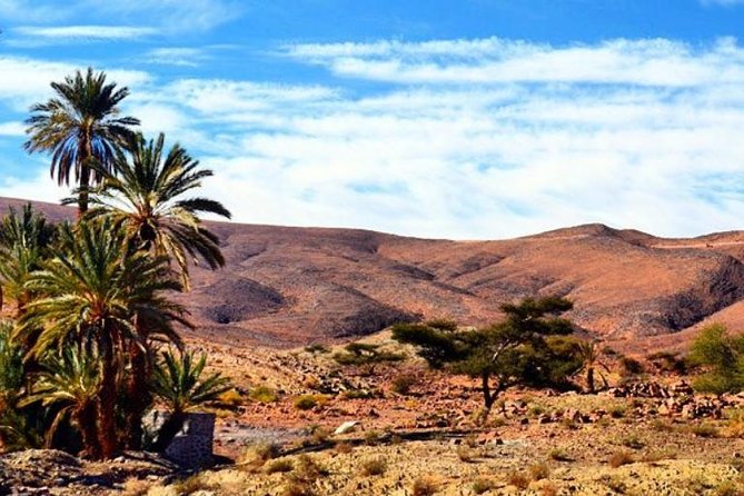 2 Days 1 Night To Zagora Desert Tour From Marrakech - Traveler Photos and Reviews