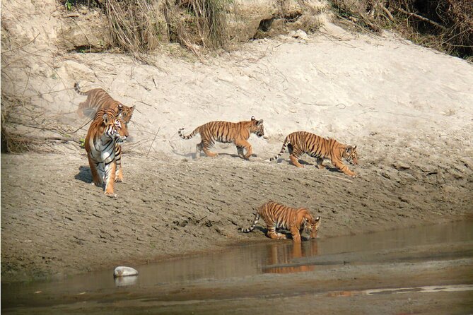 2 Days and 1 Night Chitwan Safari Tour - Pickup and Start Time