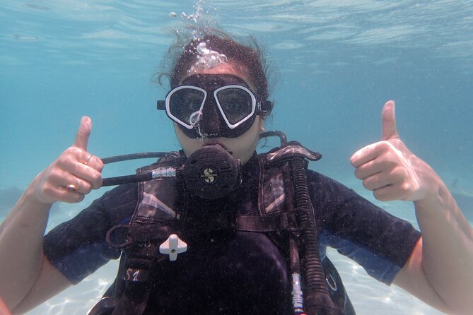 2 Days Diving Trip to Koh Tao Including 4 Dives and Accommodation - Accommodation Options Near Mae Haad Beach