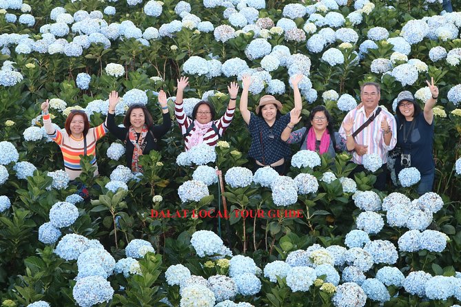 2 Days Private Tour in Dalat - Transportation Options