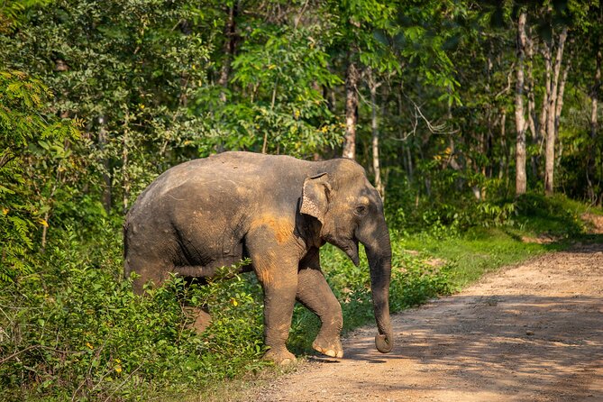 2-Days Private Tour: Kui Buri Wildlife Safari & Sam Roi Yod National Park - Cancellation and Changes Policy