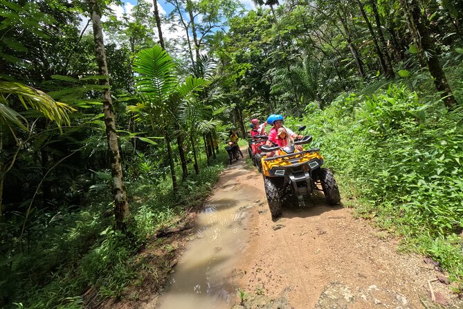2 Days Raft, Ride, & Rescue Elephant Program in Khaolak - Day 1: Rafting Adventure