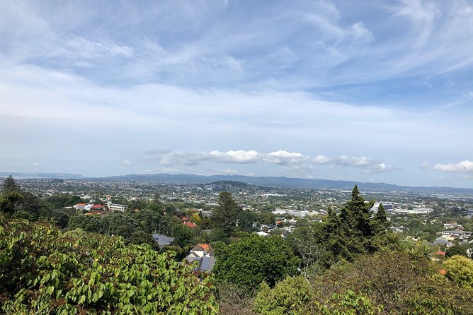 2 Days Tours From Auckland to Rotorua - Accommodation Options