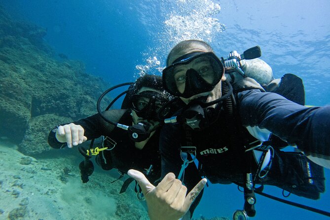 2 Dives for Certified Divers in Fujairah With BBQ Lunch - Meeting and Pickup Information