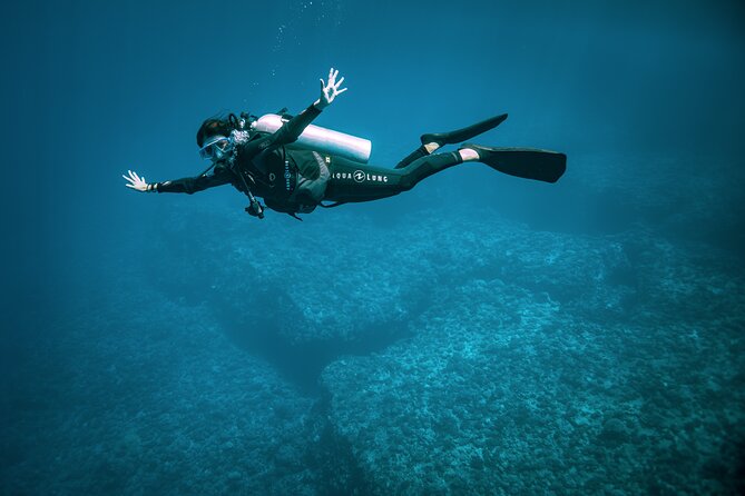 2 Dives in the Morning for Certified Divers in Bora Bora - Personalized Attention From Certified Instructors