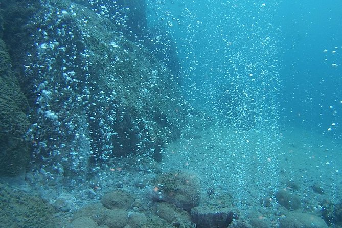 2 Dives Package - Dive Experience