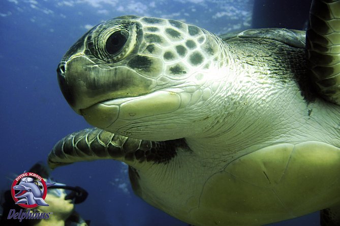 2 Diving Sites Scuba Diving Package in Gran Canaria - Meeting and Pickup Information