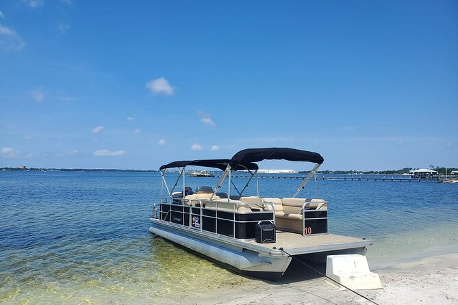 2 Hour Dolphin and Sightseeing Tour in Shell Island - Traveler Photos and Reviews