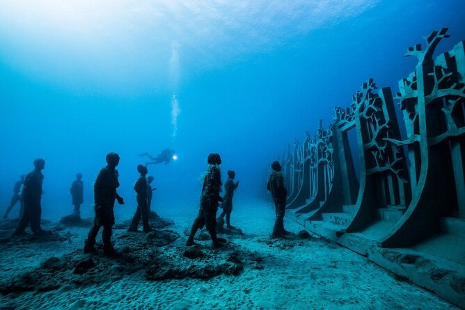 2-Hour Freediving Activity at the Atlantic Museum - Meeting and Pickup