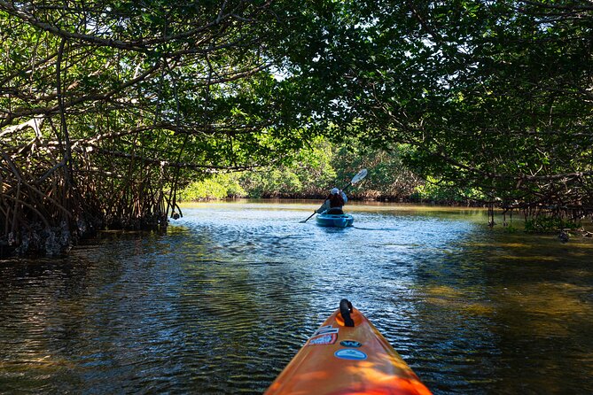 2 Hour Guided Kayak Tour in Boca Ciega Bay - St. Pete - Whats Included