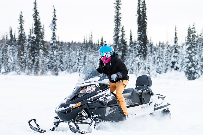 2-Hour Guided Snowmobile Tour in Fairbanks - Meeting and Pickup