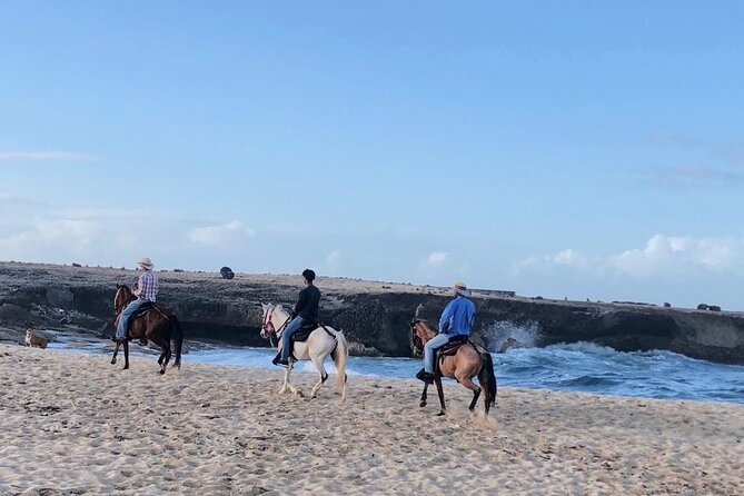 2-Hour Horseback Riding Tour to Little Natural Bridge in Aruba - Positive Experiences