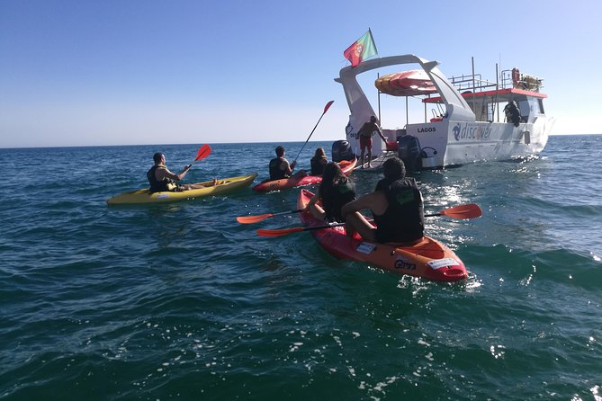 2-Hour Kayak Tour of Ponta Da Piedade Caves and Beaches - Safety and Assistance
